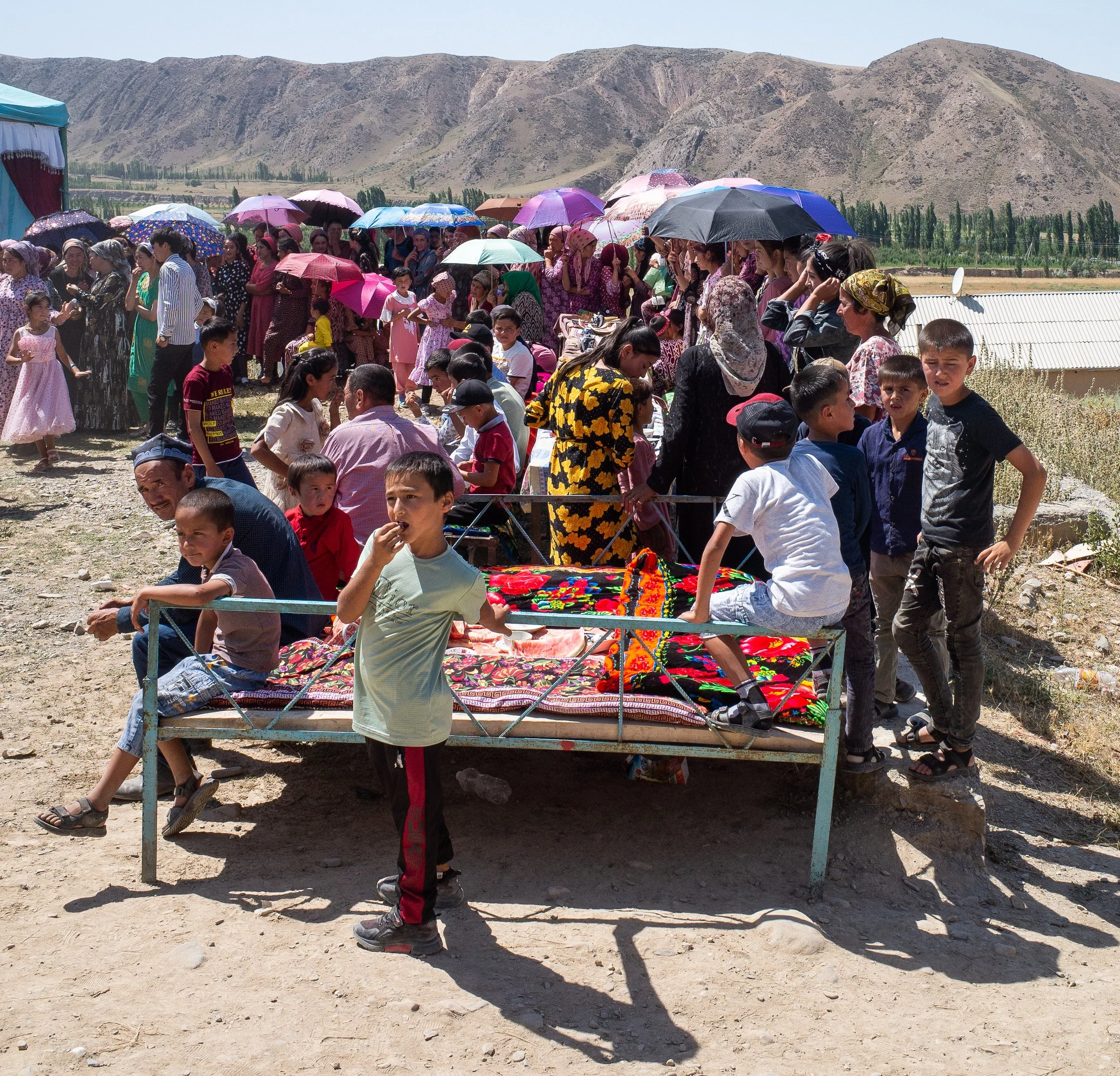 Tajik_wedding_cat_seat_17_07_2022.jpg