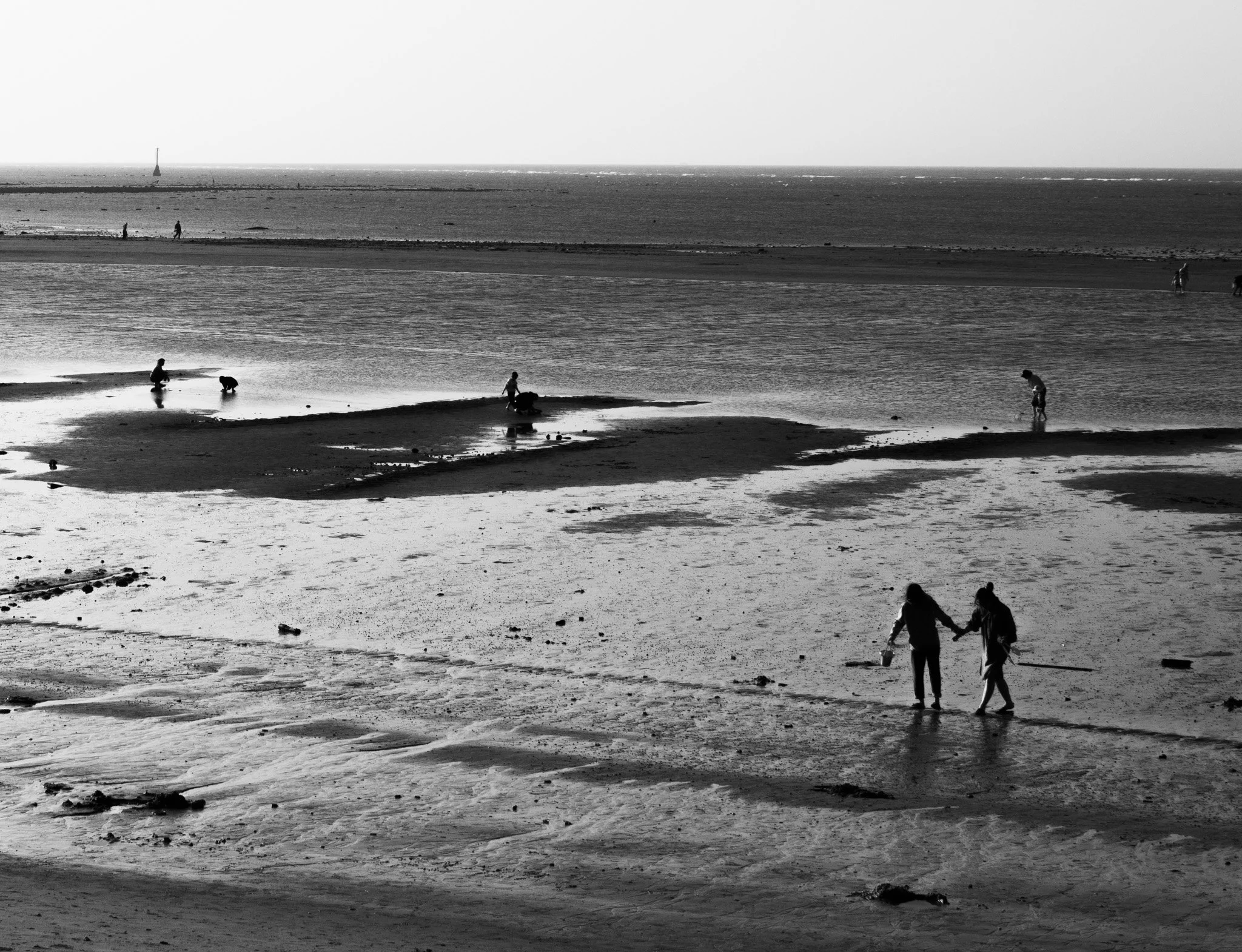 DSC_0293.jpg