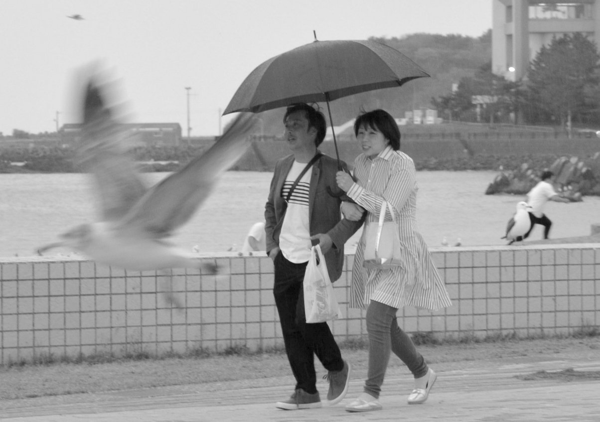 Kabushima_umbrella_11_2018.jpg