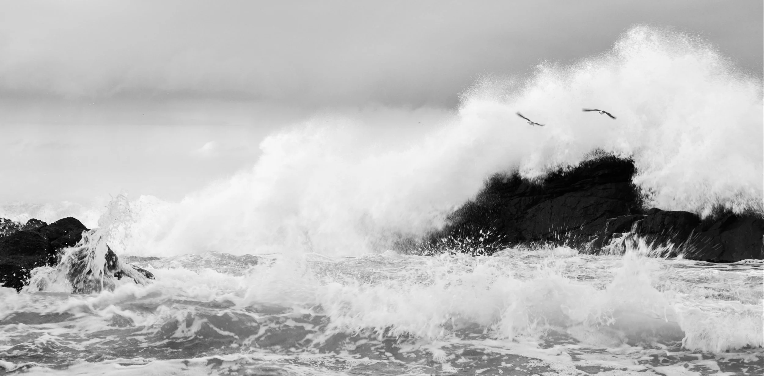 Kabushima_wavebreak_2_seagulls_05_2020.jpg