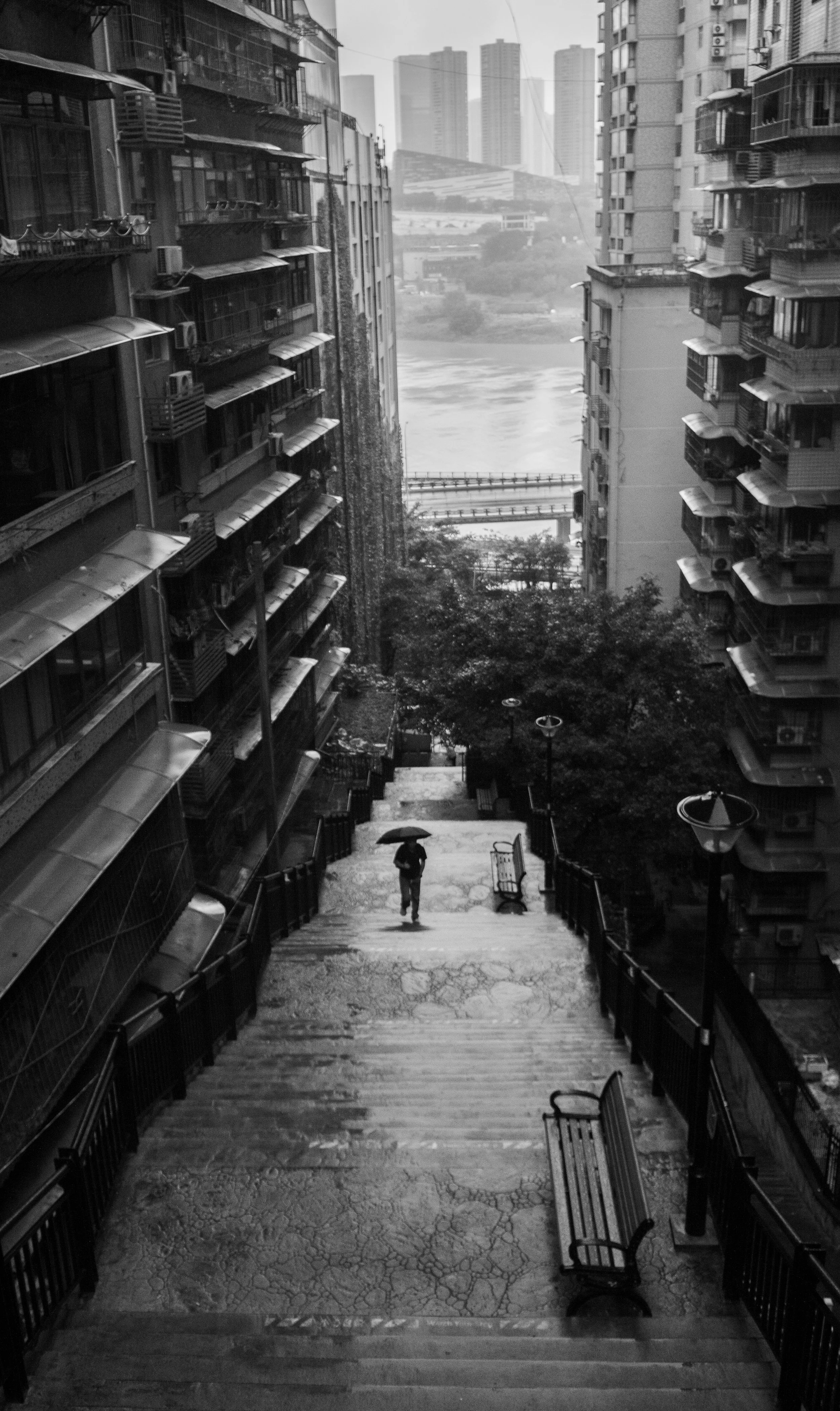 DSC_0689 (1).jpg