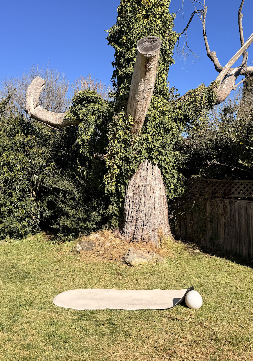 Pilates mat and props set up outdoors in a Bowral garden.