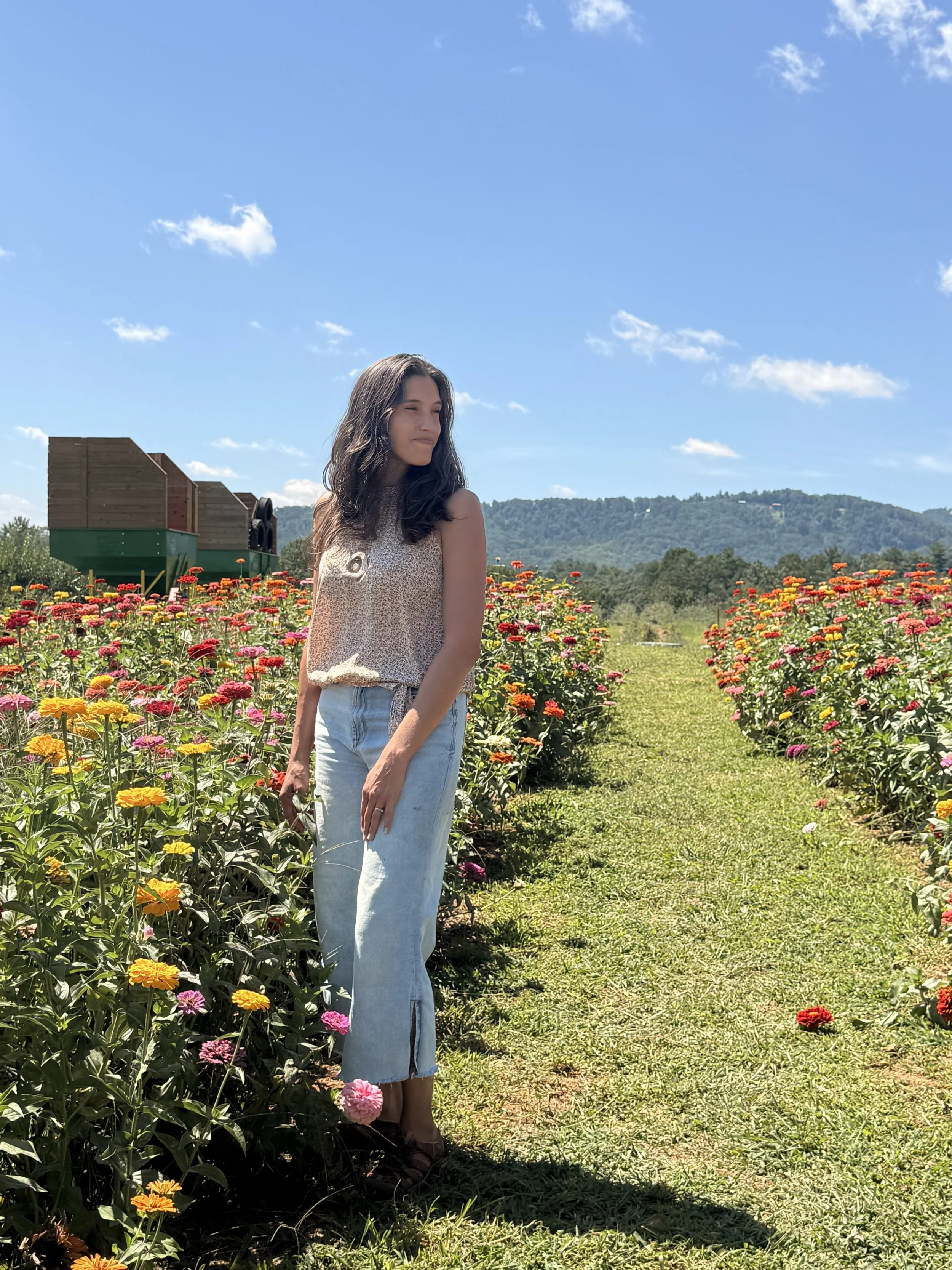 A woman standing in a colorful flower field on a sunny day with a mountain in the background.