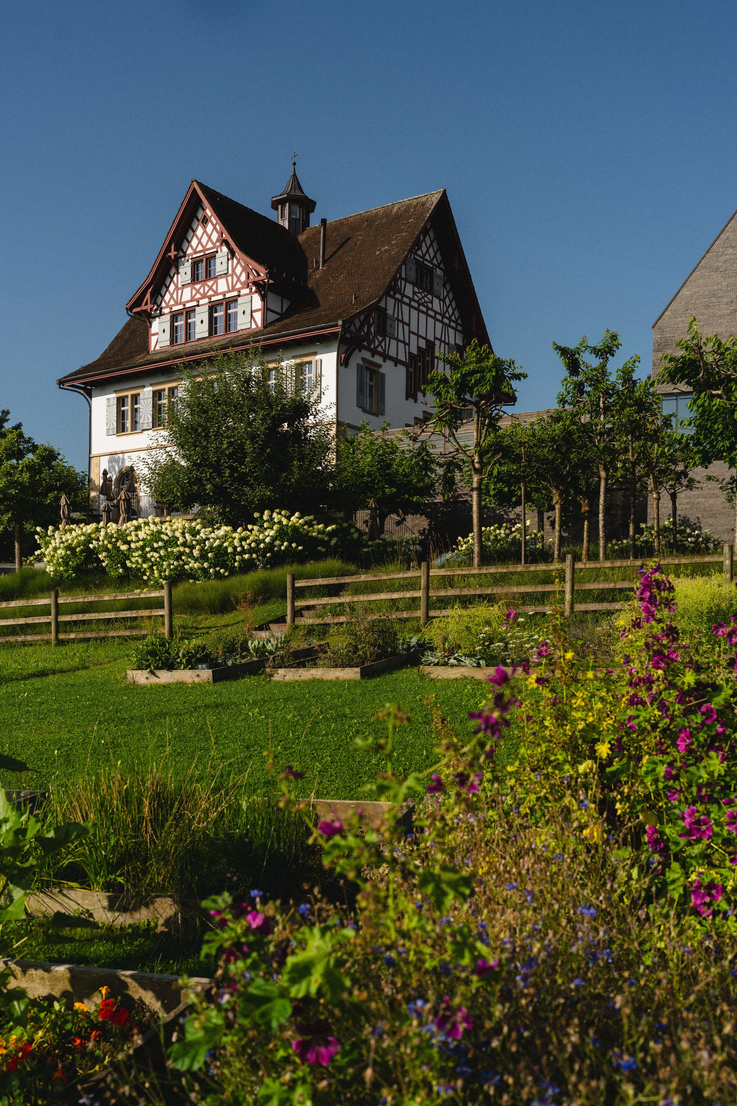 Mammertsberg Michelin Fine-Dining am Bodensee