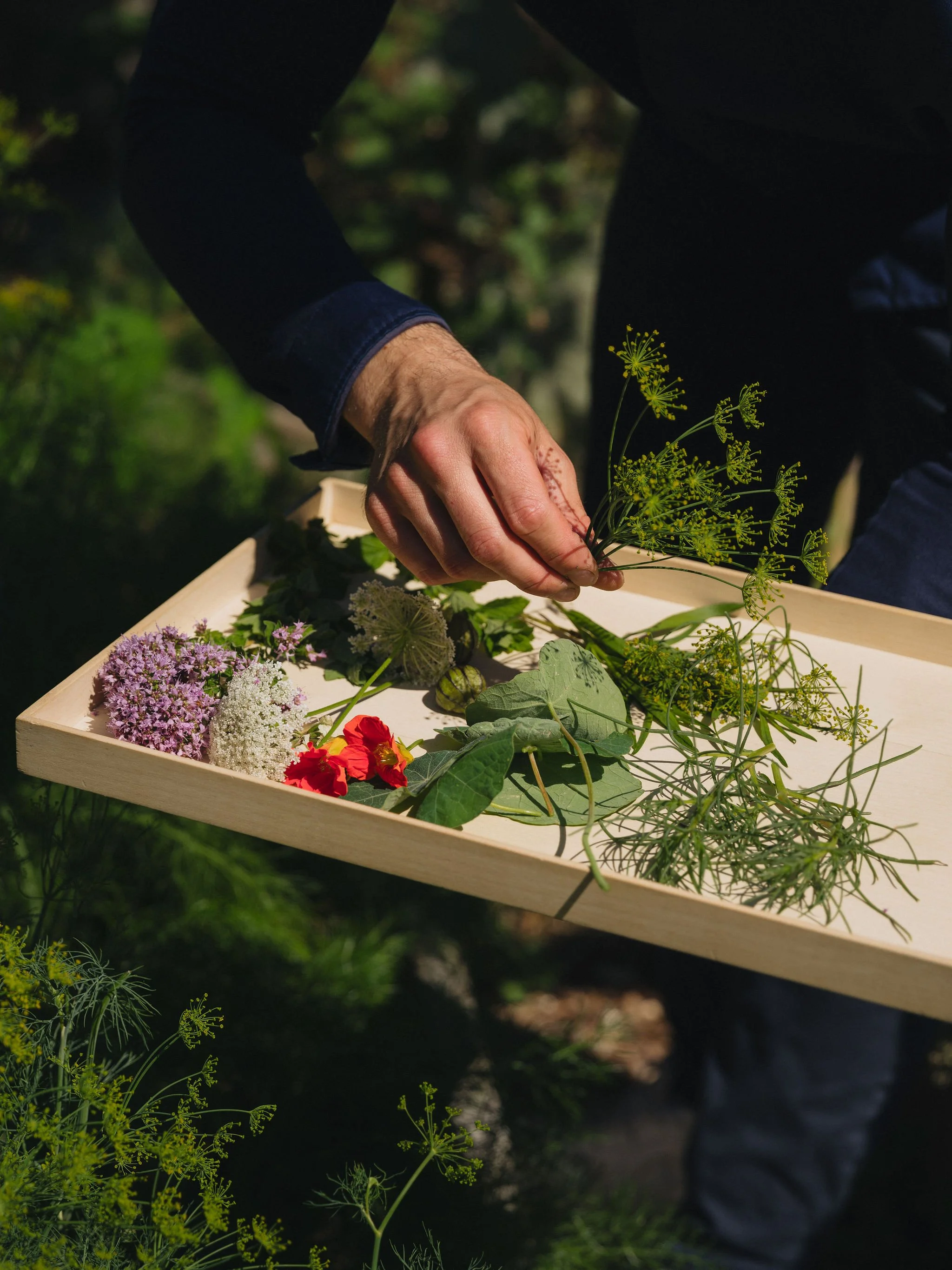 Oz in Fürstenau, vegetarischen Fine-Dining