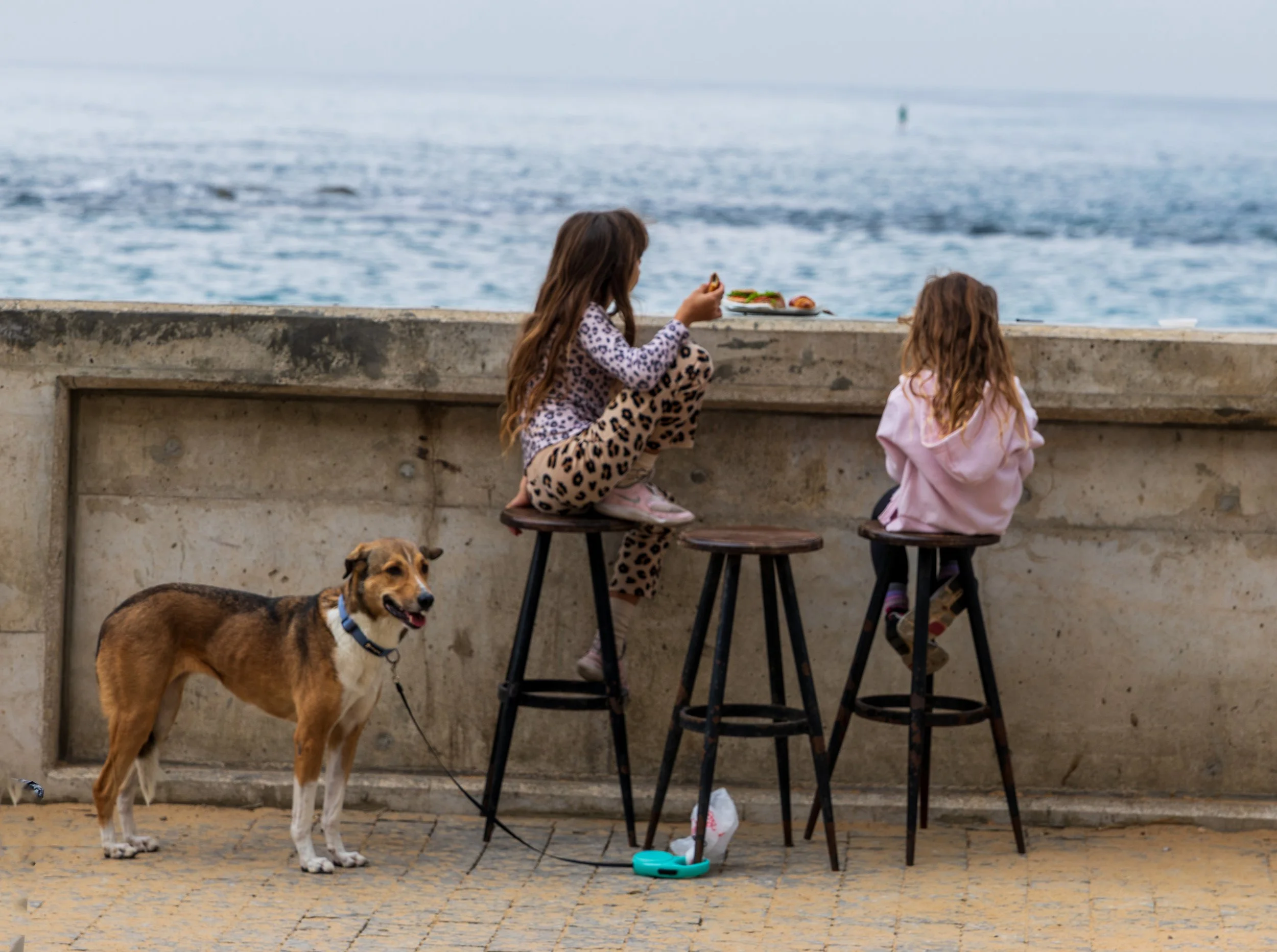 Two young girls sitting on stools near a concrete barrier by the water, with a dog standing nearby. One girl is eating and wearing leopard-print pajamas, the other has long brown hair and a pink hoodie. The scene overlooks a body of water with a distant marker or buoy.