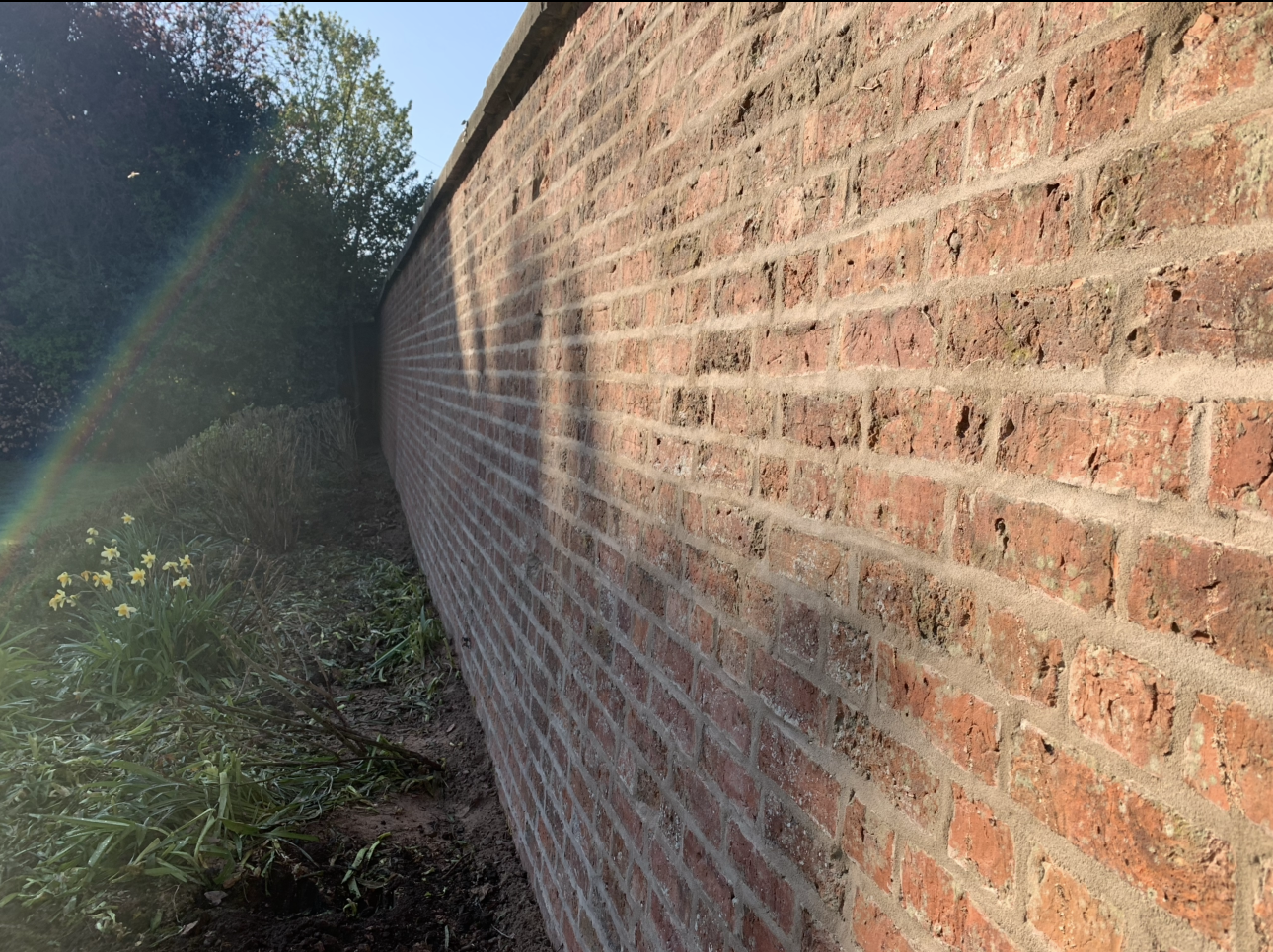 Close-up of a red brick wall on the right side, with sunlight casting shadows on it. A garden with some yellow flowers and green foliage is visible along the left side, with a tree in the background and a rainbow visible in the sky.