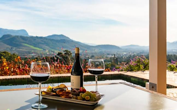 Wine tour of South Africa