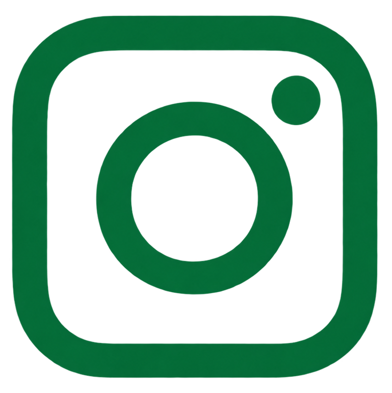 Green Instagram logo with a camera icon inside a rounded square.