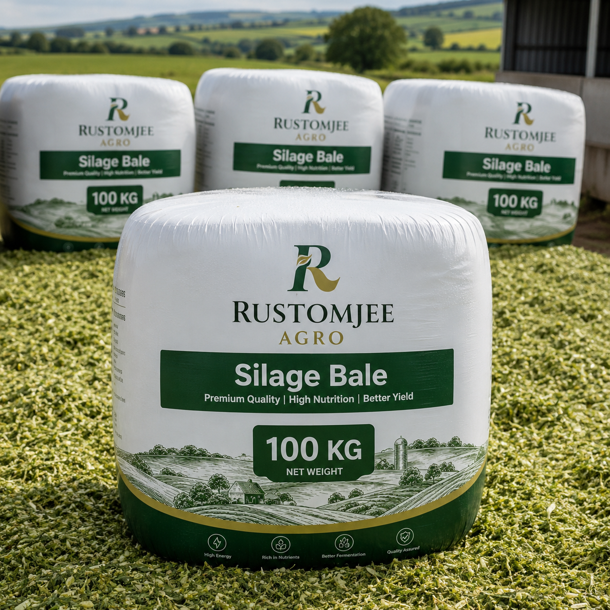 RUSTOMJEE SILAGE