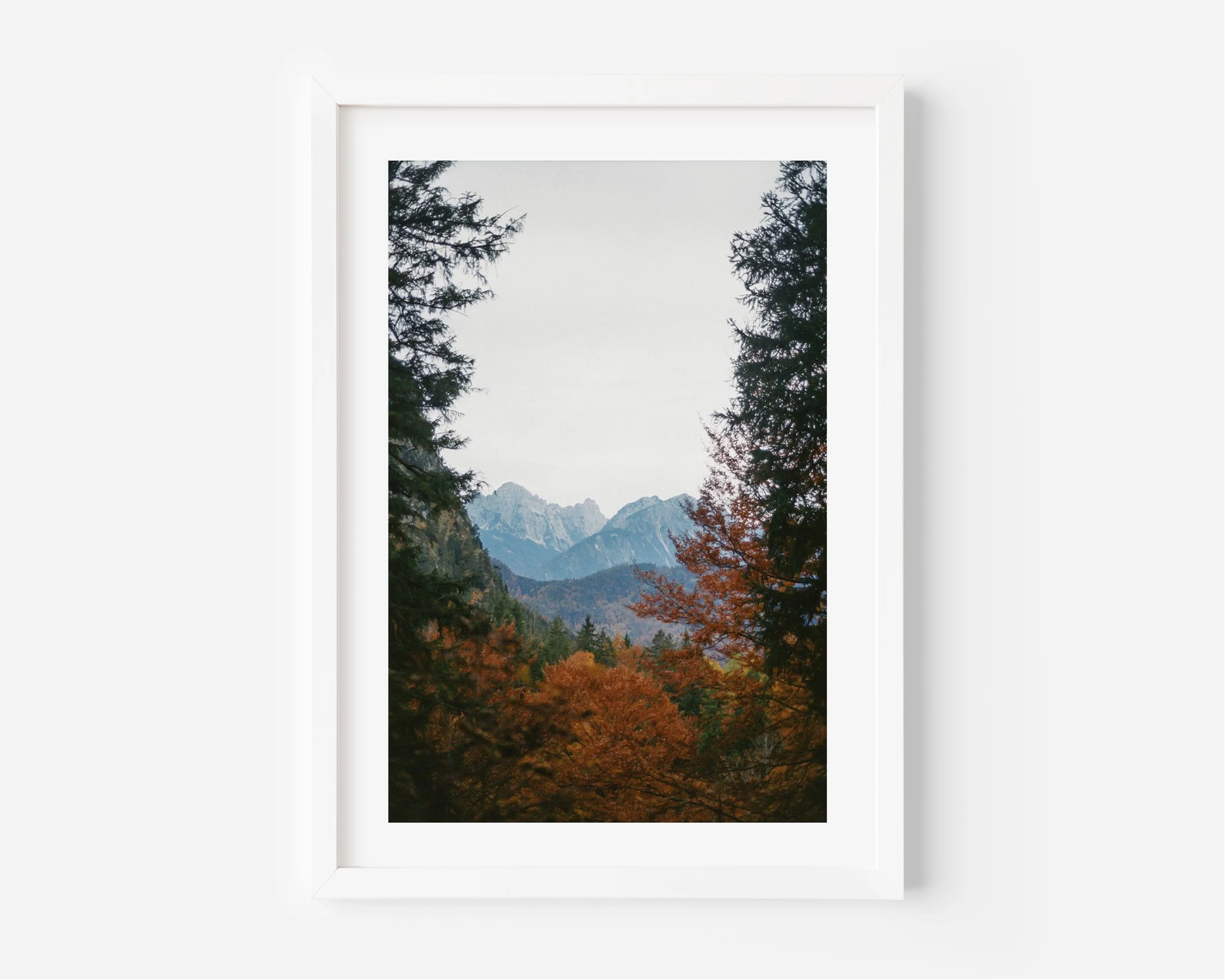 Colors of a hike.