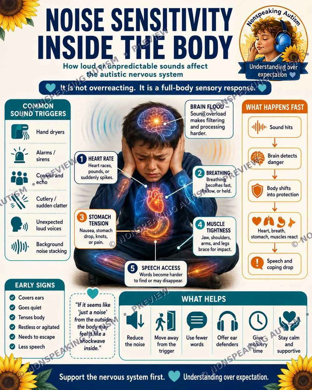 An informational infographic about noise sensitivity inside the body in children with non-speaking autism, highlighting how loud sounds affect the autistic nervous system, with illustrations of a child holding his ears, and sections on common sound t