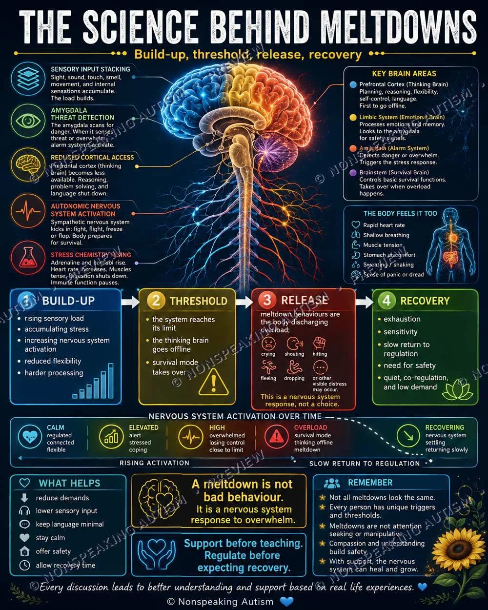 An infographic titled "The Science Behind Meltdowns" illustrating the stages of sensory overload, threat detection, brain response, and recovery, including descriptions of brain areas, body responses, and tips for managing stress.
