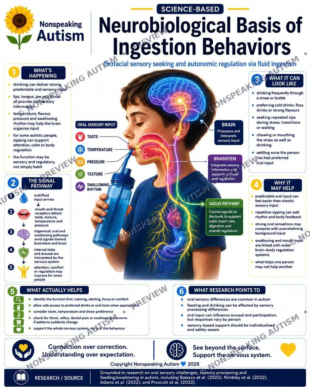 An infographic illustrating the neurobiological basis of ingestion behaviors in nonspeaking autism. It features a boy drinking from a bottle, with diagrams of the brain and sensory pathways. Labels highlight sensory inputs like taste, temperature, pr