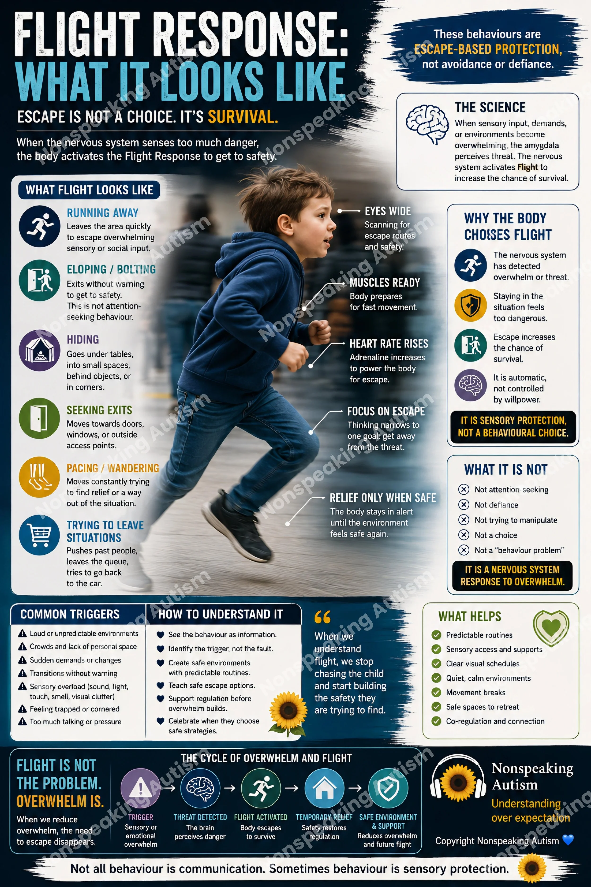 Infographic explaining flight response as sensory protection in autism, including behaviors like running away, eloping, hiding, seeking exits, pacing, and trying to leave situations. Highlights science behind it, why the body chooses flight, common t