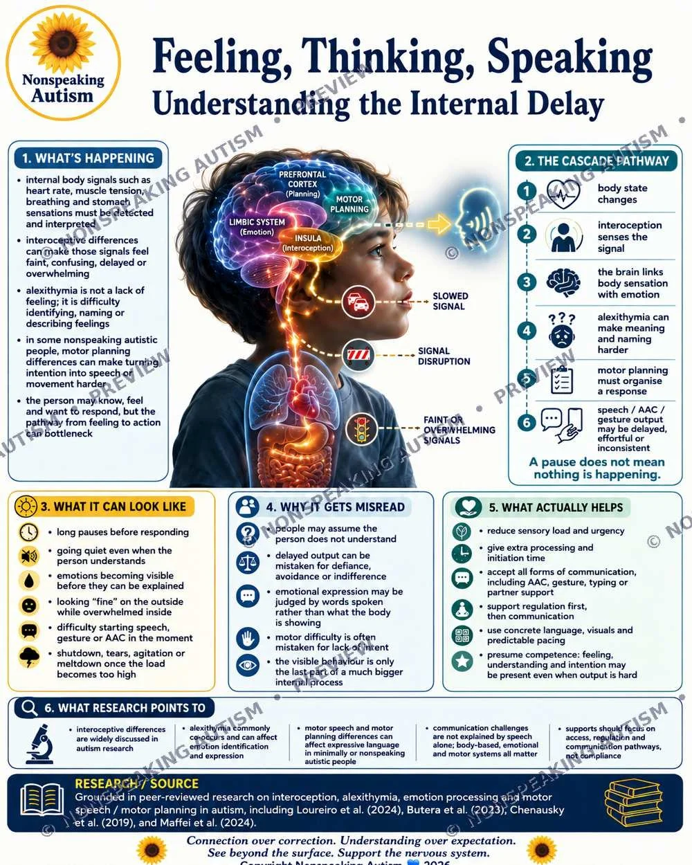 Infographic explaining the internal delay in feeling, thinking, speaking in non-speaking autism, including brain parts involved, the cascade pathway, and ways to help.