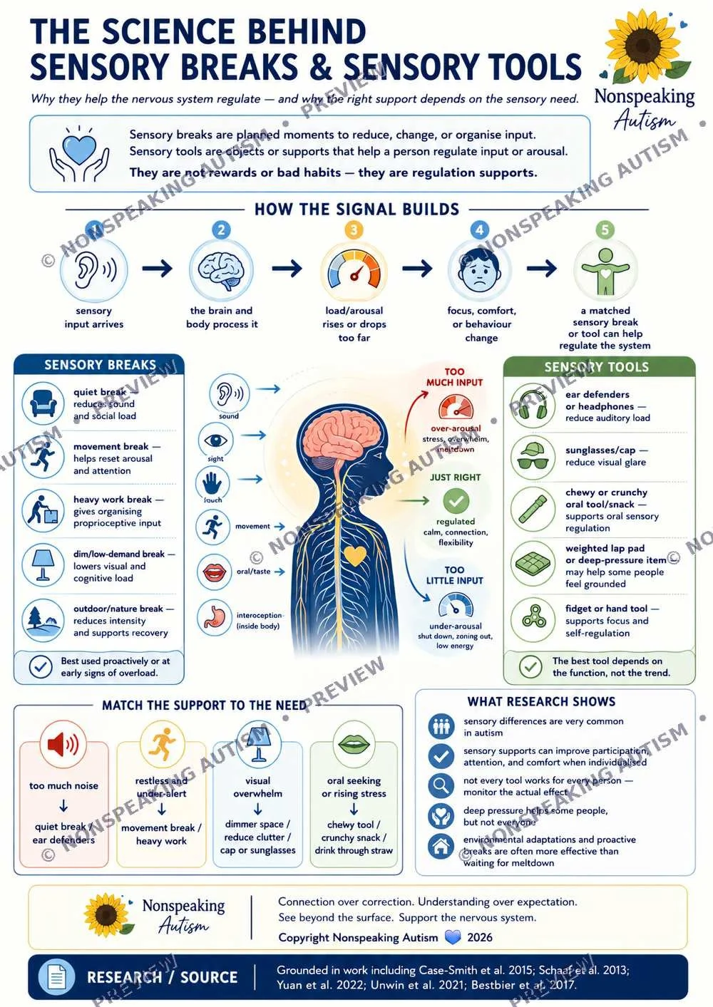Infographic titled 'The Science Behind Sensory Breaks & Sensory Tools,' explaining how sensory input affects the nervous system, with diagrams of sensory signal processing, sensory breaks, tools, and research supporting sensory interventions, with a 