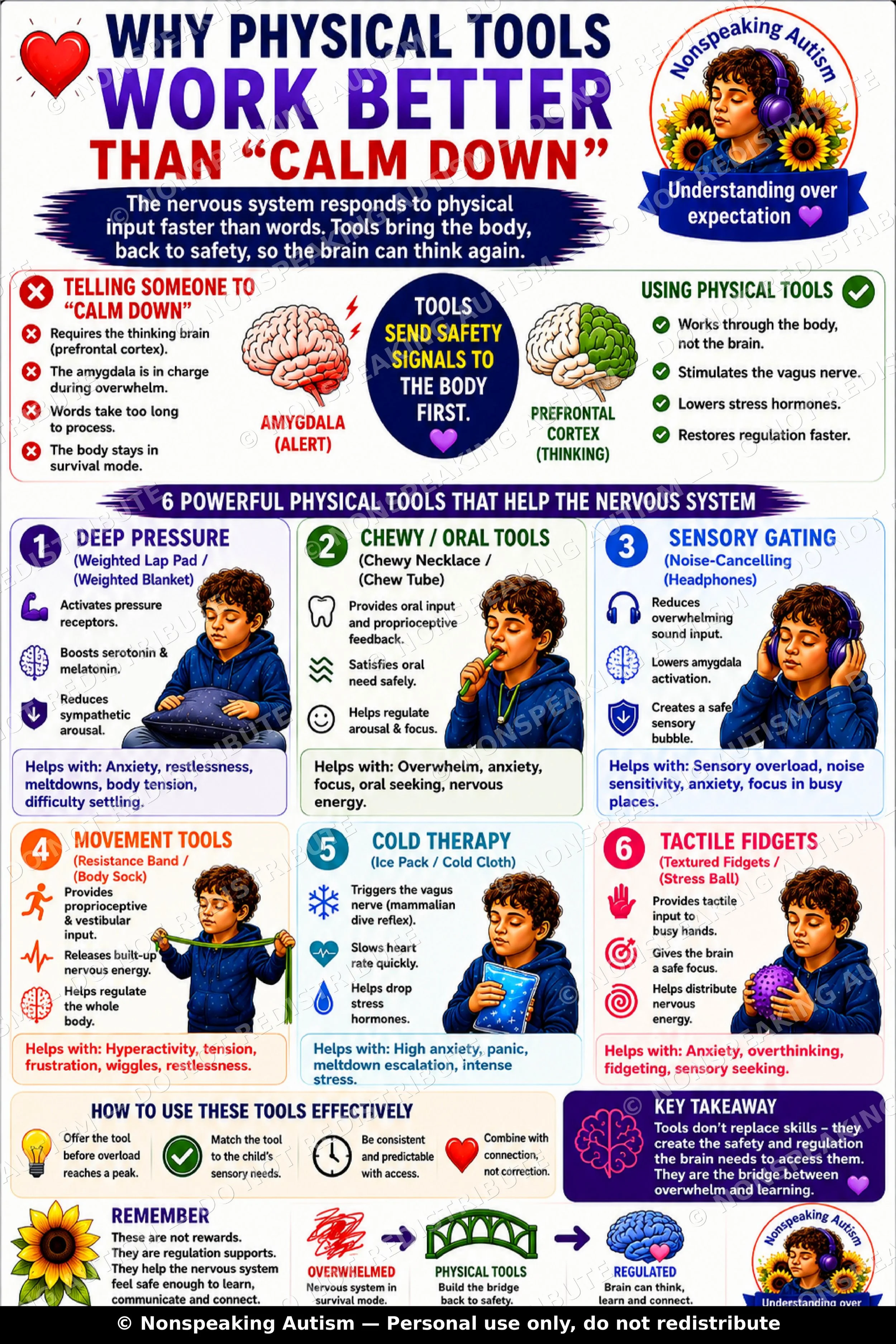 An infographic explaining why physical tools help the nervous system, especially for individuals with non-speaking autism. It highlights the importance of physical tools like deep pressure, chewy/oral tools, sensory gating, movement tools, cold thera