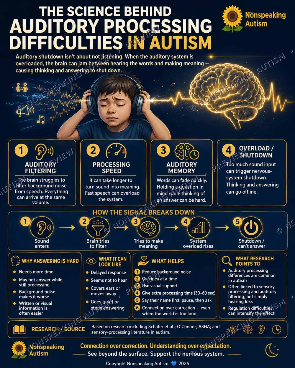 An infographic explaining the science behind auditory processing difficulties in autism. Features a young boy with headphones, a digital brain illustration, and sections detailing auditory filtering, processing speed, auditory memory, and reasons for