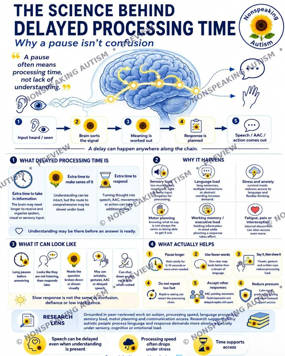 An infographic explaining the science behind delayed processing time in autism. It includes a brain diagram, stages of processing, reasons for delays, and tips for improvement.