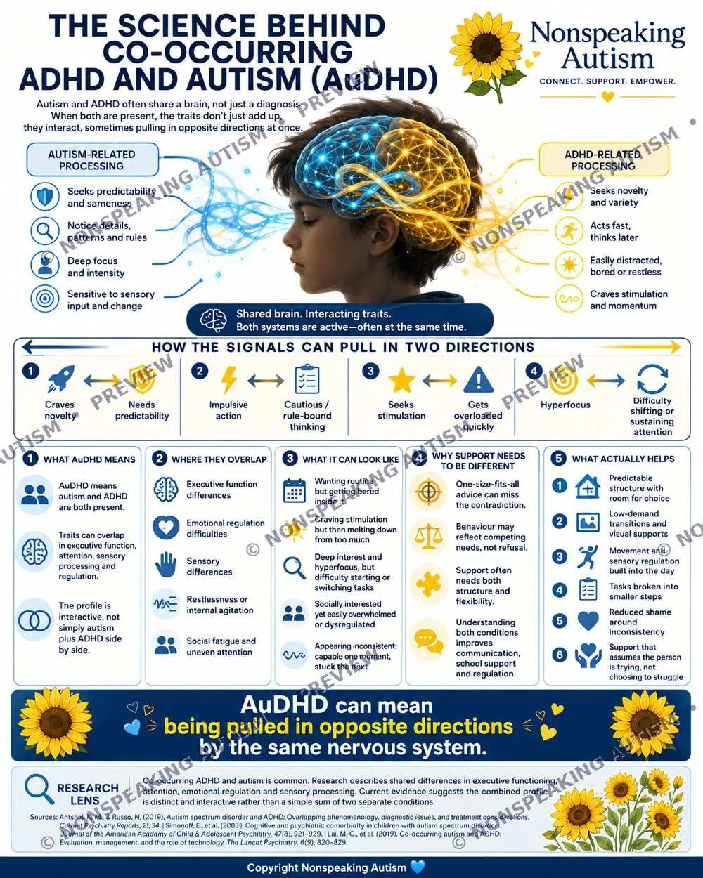 An infographic explaining the science behind co-occurring ADHD and autism (AuDHD). It shows two sides of the brain, one for autism-related processing and one for ADHD-related processing, and how these traits overlap and influence each other. The info