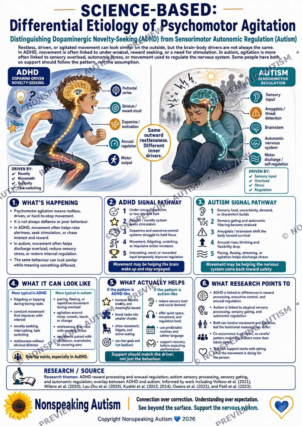 Infographic comparing the differential etiology of psychomotor agitation in ADHD and autism, highlighting neurological signals, behaviors, and research points.