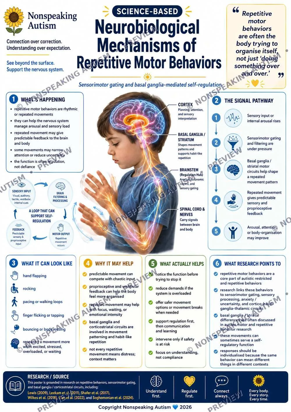 Infographic about the science-based neurobiological mechanisms of repetitive motor behaviors in non-speaking autism, featuring a child with overlaid brain diagram and icons depicting different pathways and research points.
