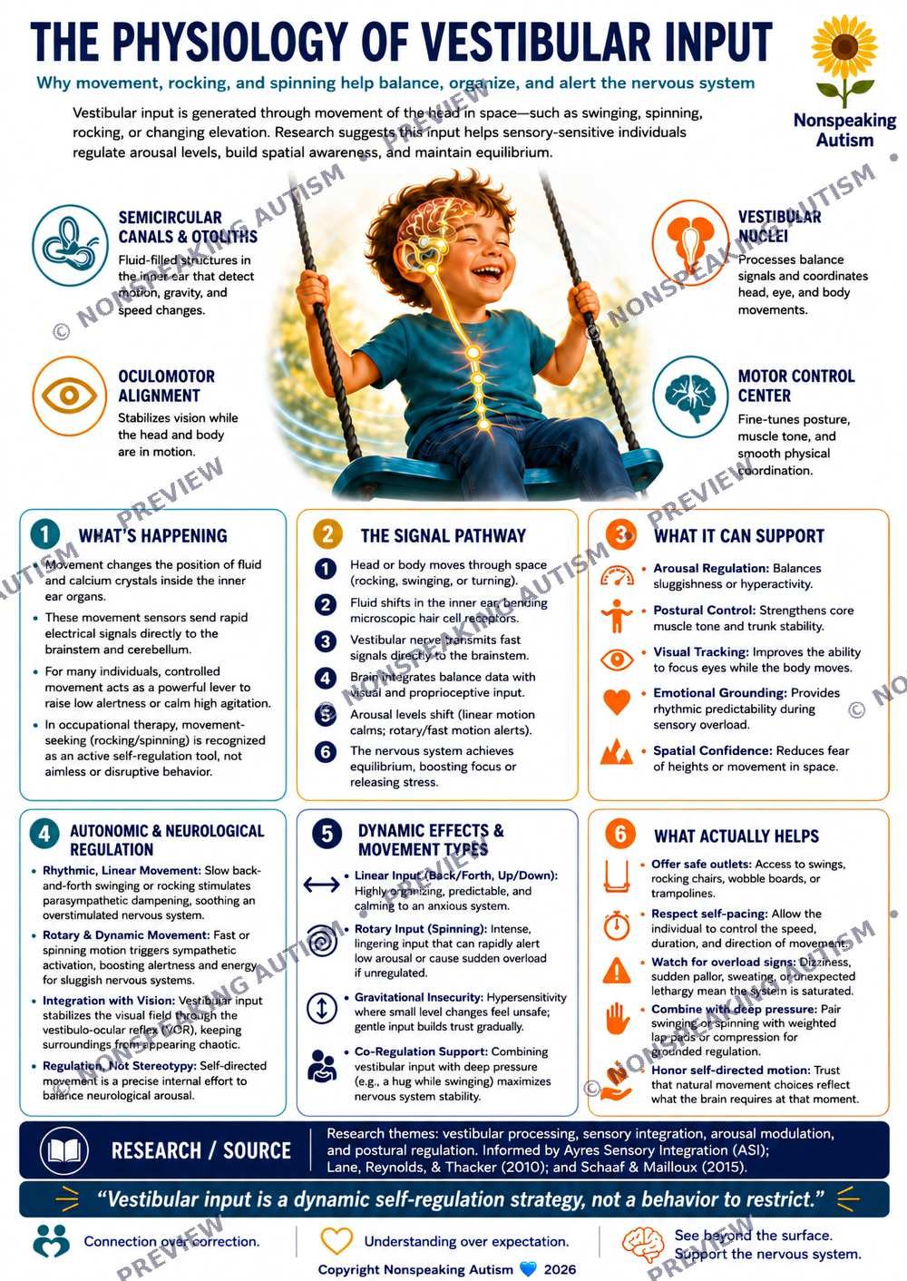 A young boy on a swing with a diagram overlay of the human nervous system, highlighting the brain, spinal cord, and vestibular system, illustrating the physiology of vestibular input.