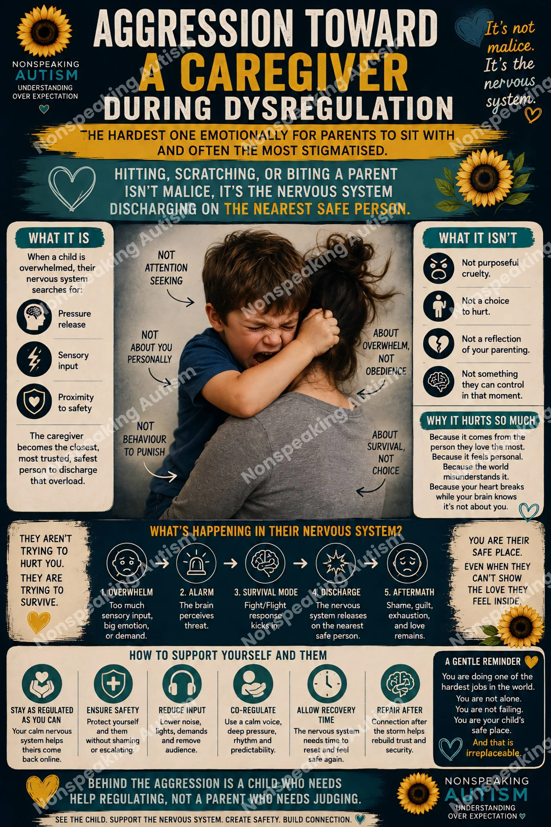 Infographic discussing how to support children with autism during emotional dysregulation, emphasizing that aggression is not malice but linked to the nervous system, and providing strategies for caregivers and understanding the child's experience.