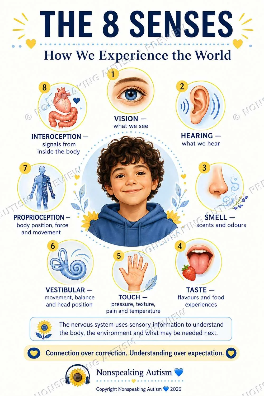 An infographic titled 'The 8 Senses' showing a boy with various sensory categories around him. The categories include vision, hearing, smell, taste, touch, vestibular, proprioception, and interoception, each with respective descriptions and icons.