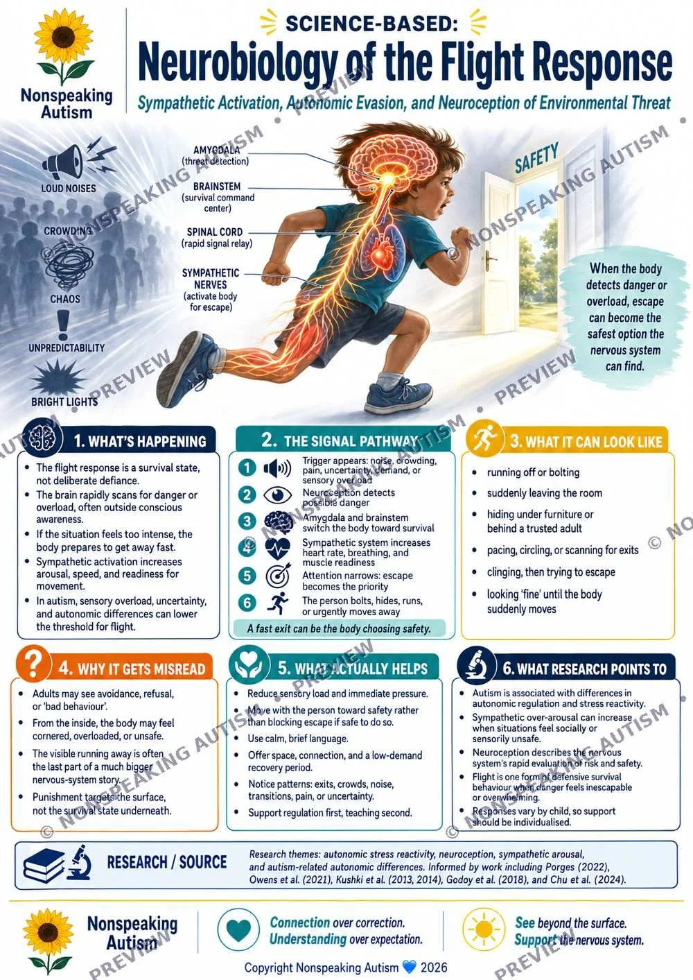 Infographic explaining the neurobiology of the flight response, highlighting the role of the amygdala, brainstem, spinal cord, sympathetic nerves, and bright lights in triggering the fight-or-flight reaction in response to environmental threats, with