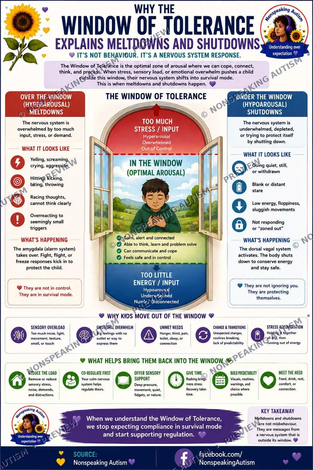 Infographic explaining the 'Window of Tolerance' for understanding meltdowns and shutdowns in children with autism, with sections on signs, what happens, ways to support, and how to bring children back into the window.