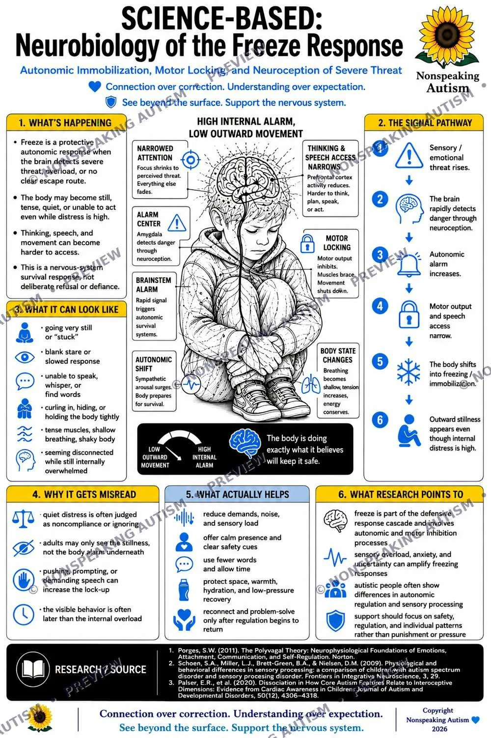 An educational infographic explaining the neurobiology of the freeze response in autism. It features sections about what happens during freeze, the signal pathway, what freeze looks like, why it gets misunderstood, what helps, and research points. Il
