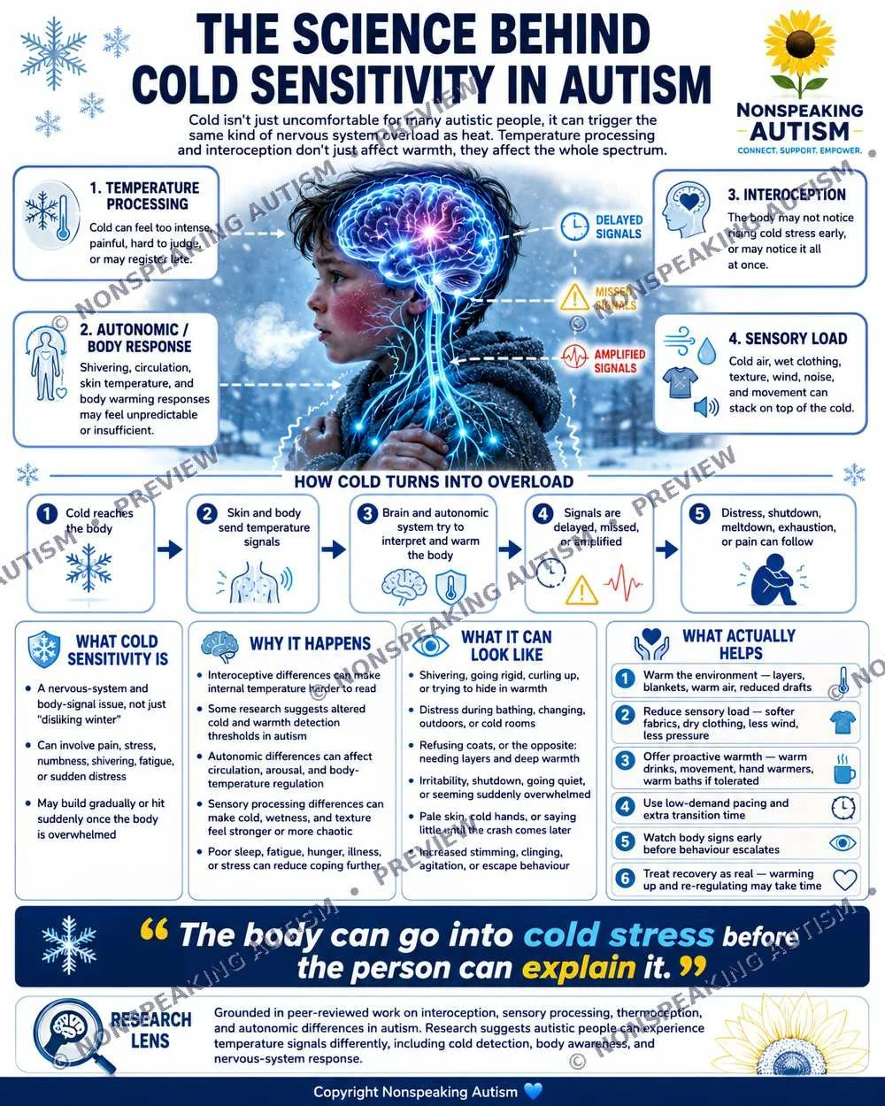 Infographic titled "The Science Behind Cold Sensitivity in Autism" explaining how cold triggers sensory responses in autistic children, including steps like temperature processing, autonomic response, delayed signals, sensory load, and how cold overl