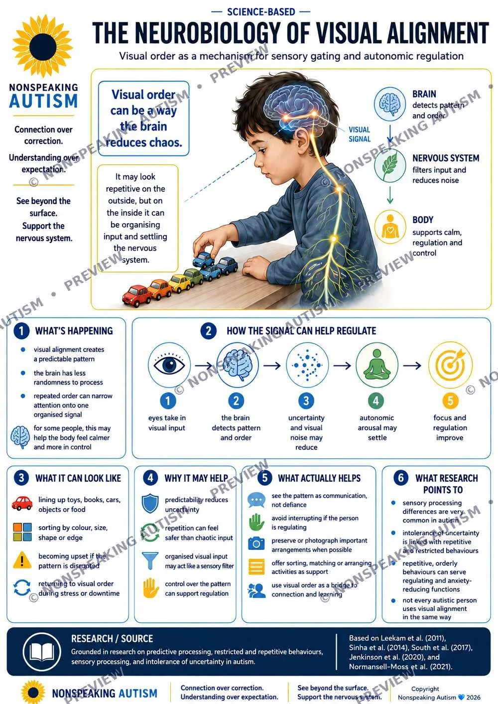 An educational infographic titled 'The Neurobiology of Visual Alignment,' illustrating how visual order can help manage sensory gating and autonomic regulation in non-speaking autism. It depicts a child examining toy cars with diagrams of brain, nerv