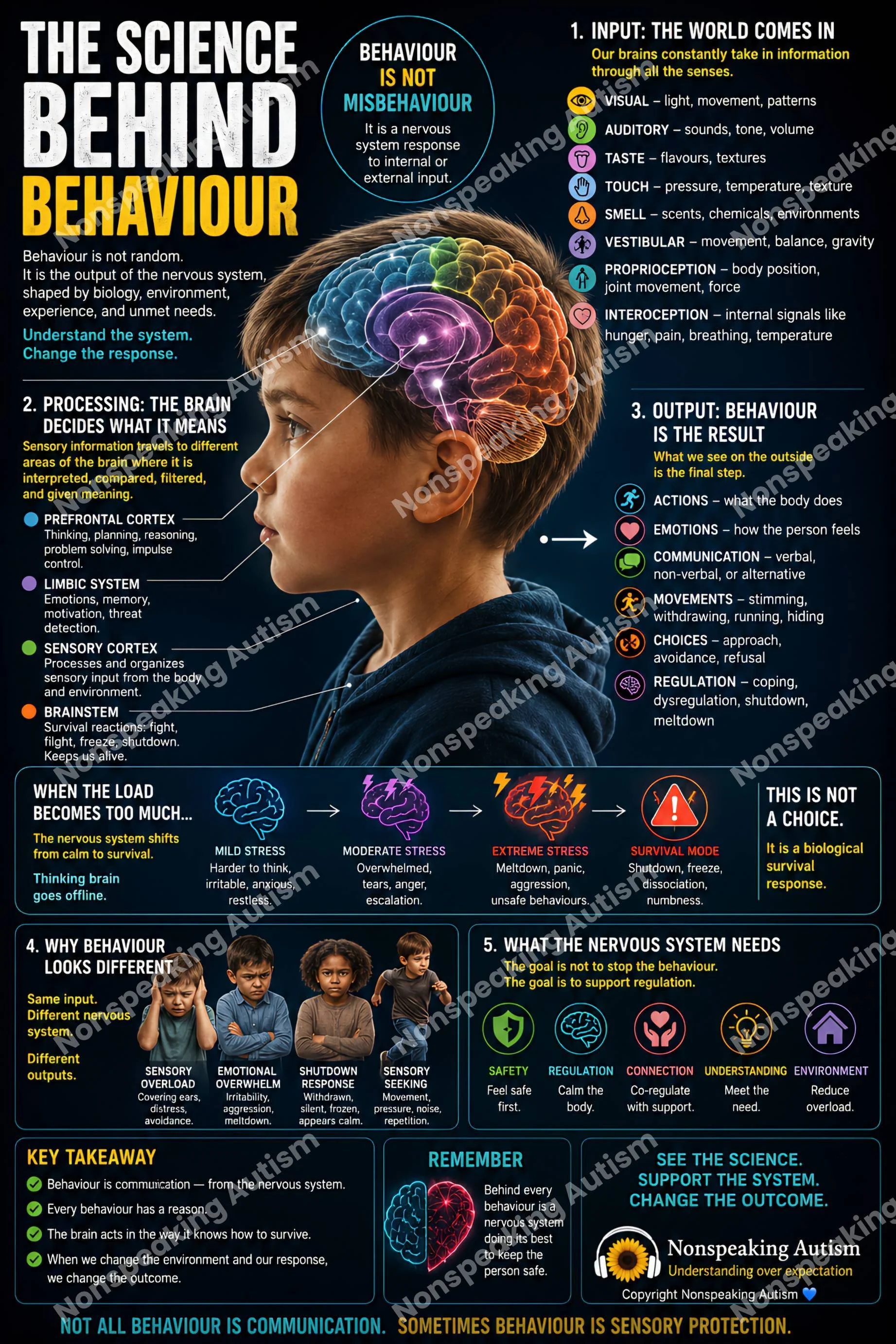 An infographic explaining the science behind behavior, including the sensory inputs, brain processing, and output behaviors, with a focus on the nervous system's response to external stimuli and stress levels.