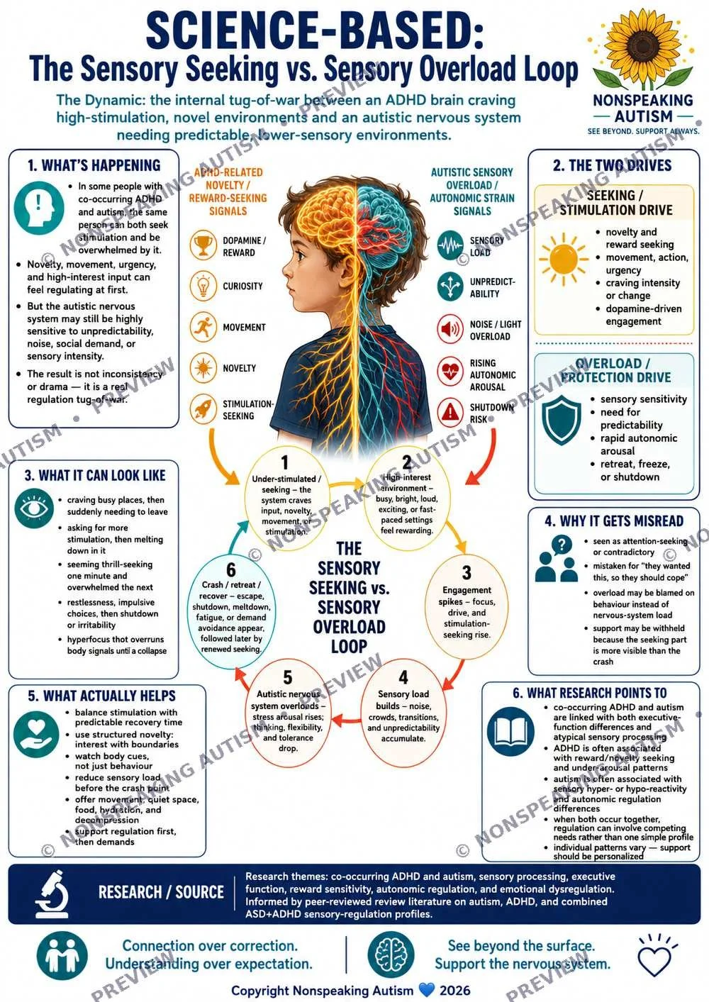 Infographic comparing the sensory seeking and sensory overload loop in autism, including causes, behaviors, and research.