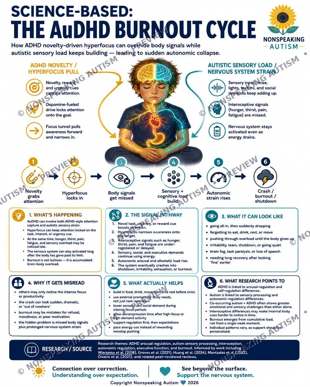 An infographic titled 'Science-Based: The ADHD Burnout Cycle' explains how ADHD novelty-driven hyperfocus can overdrive body signals and autistic sensory load can keep building leading to sudden autonomic collapse. It outlines stages: 1) ADHD novelty