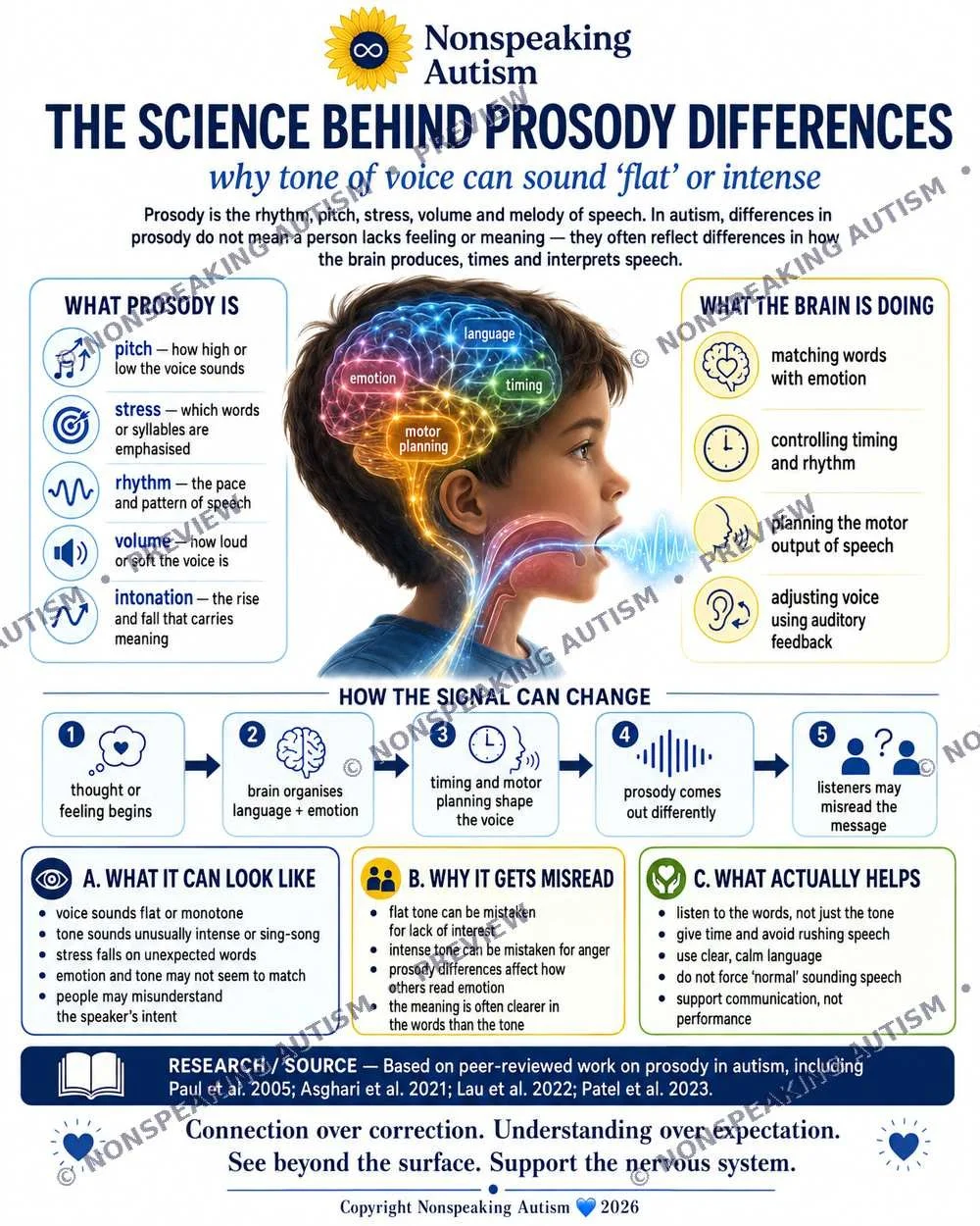 Educational infographic about prosody and how the brain processes speech in autism, featuring a child's profile with colorful brain illustration, and sections explaining prosody, brain activity, and speech perception.