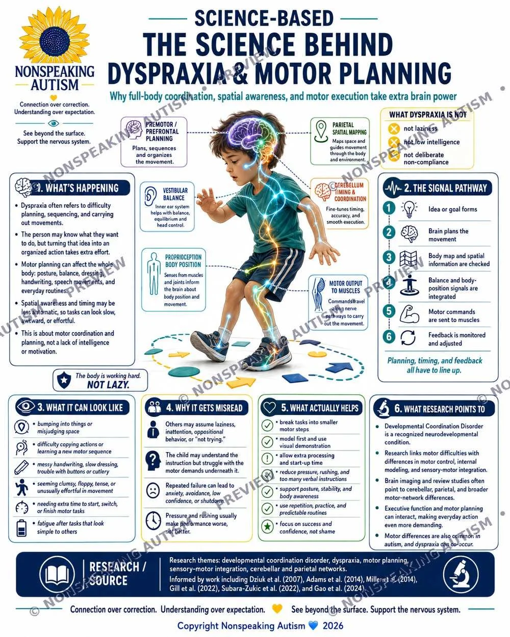 Infographic explaining the science behind dyspraxia and motor planning, highlighting brain processes, signal pathways, and research points for understanding autism and motor coordination disorders.