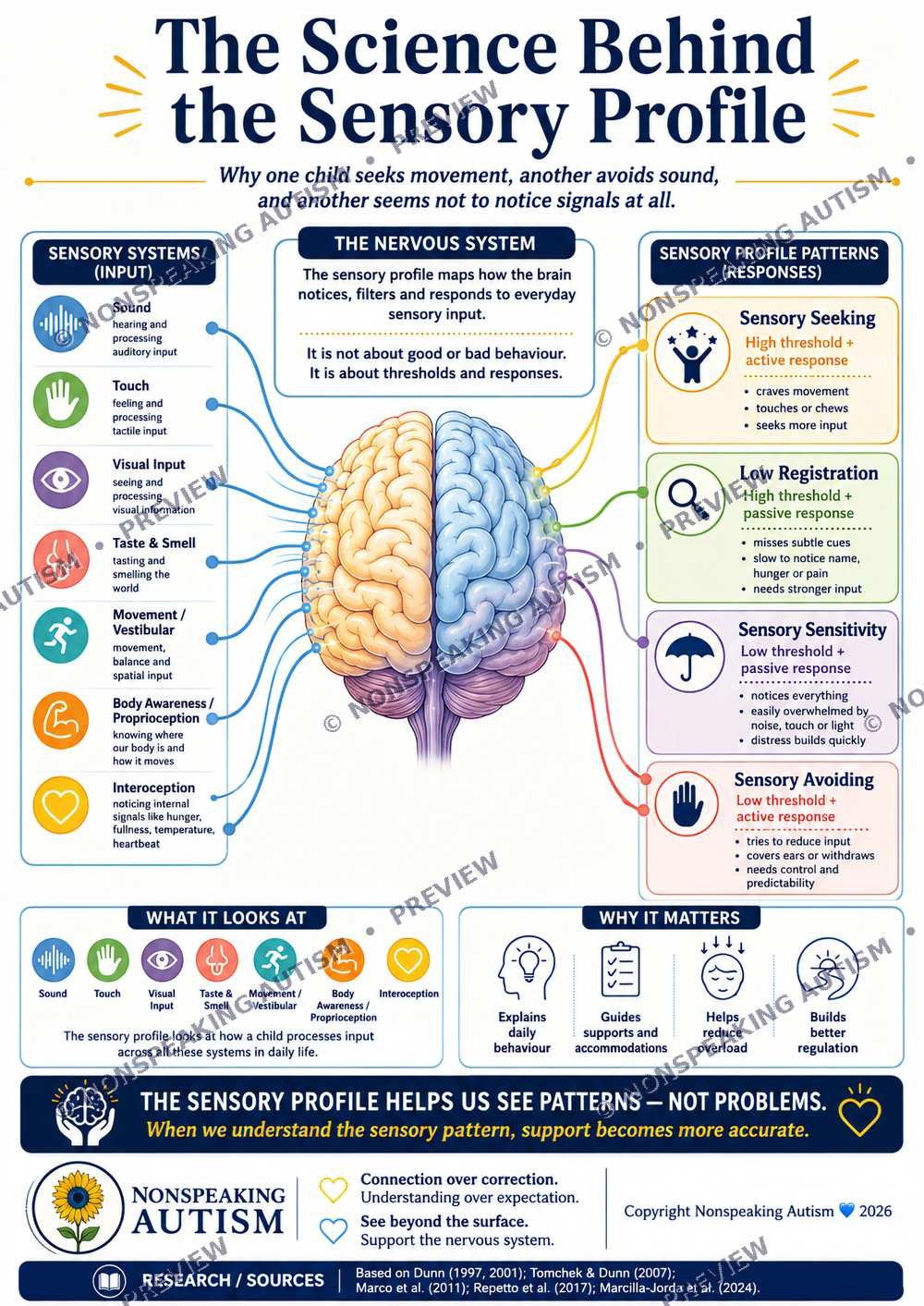 An infographic titled "The Science Behind the Sensory Profile" explaining how children process sensory input and their responses. It shows the sensory systems, the nervous system, sensory profile patterns, what the brain looks at, why it matters, and
