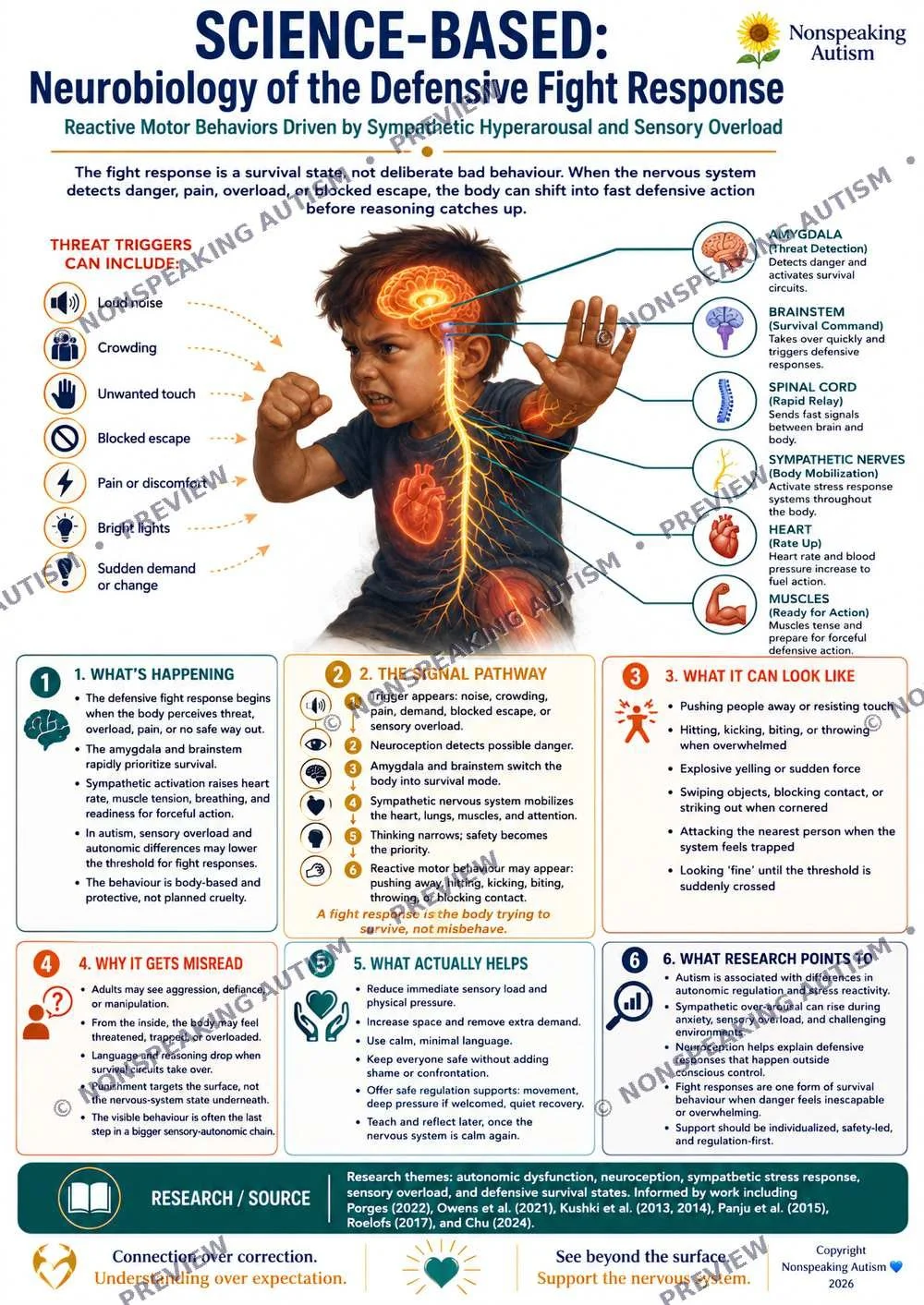 An infographic explaining the neurobiology of the defensive fight response in autistic children, highlighting threat triggers, the signal pathway, what the response looks like, why it gets misread, what helps, and research points, with a photo of a y