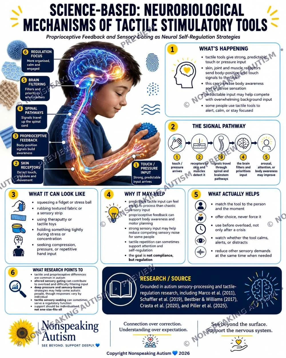 Infographic explaining the neurobiological mechanisms of tactile stimulatory tools in autism, including how tactile tools give predictable touch input, the signal pathway from touch to brain, and how they might help manage sensory processing.