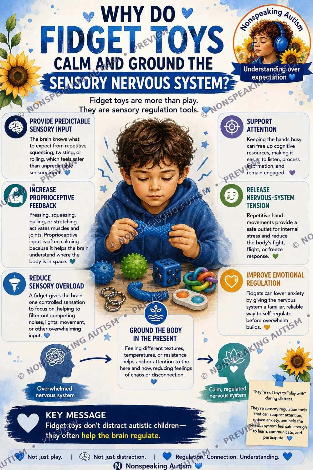 An infographic explaining why fidget toys calm and ground the sensory nervous system in children with non-speaking autism, highlighting their role as sensory regulation tools.