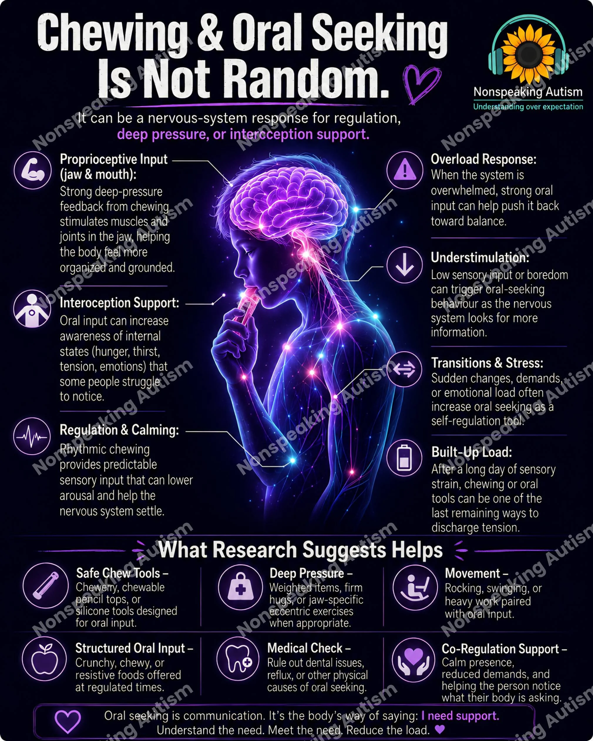 A digital infographic shows that chewing and oral seeking are intentional, not random. It explains that they serve functions such as regulation, calming, and helping manage sensory input or stress. The infographic features a glowing illustration of a