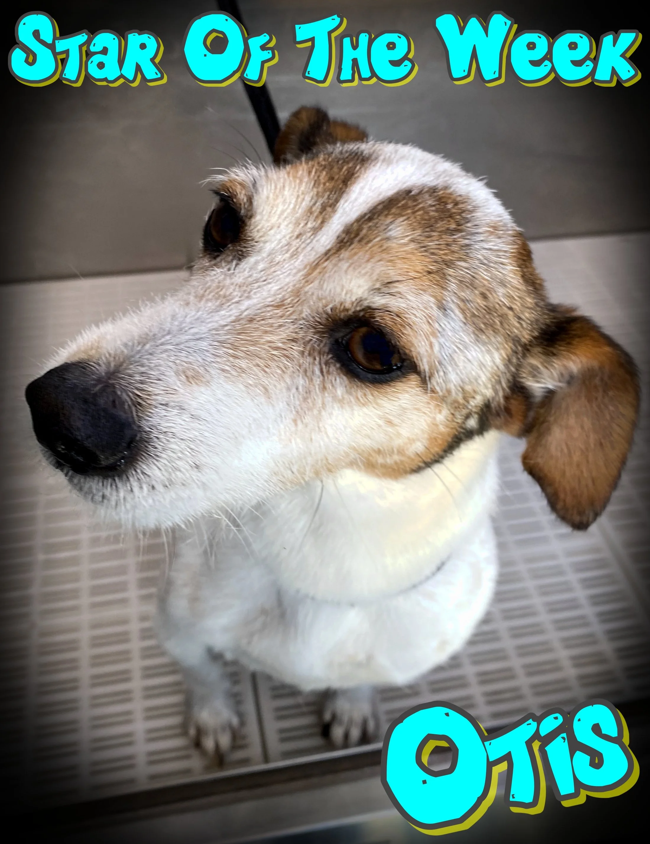 Otis is the bravest boy!