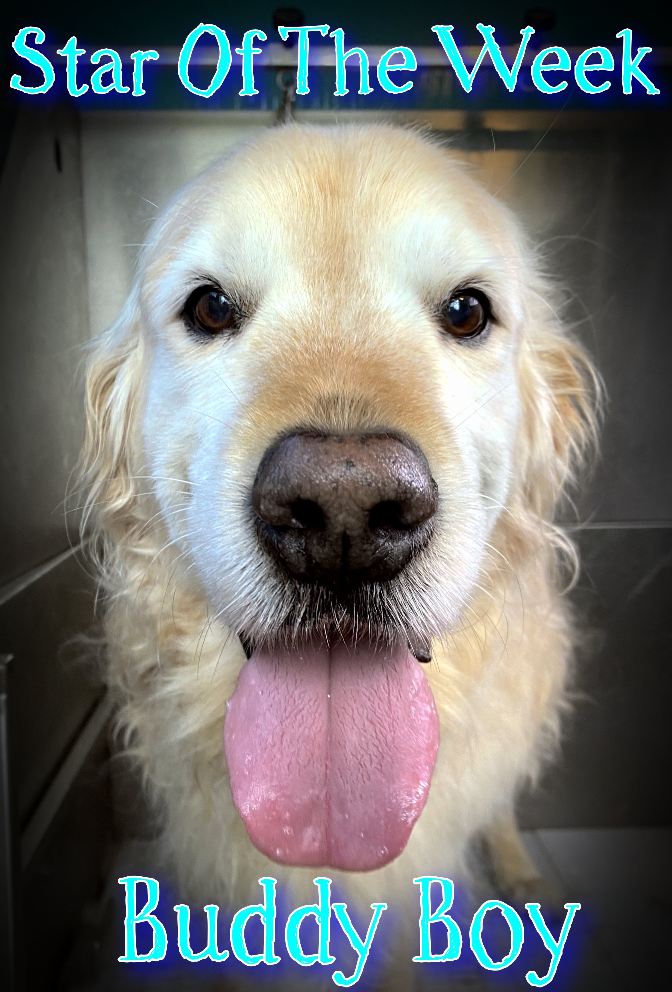 A stunning boy with the happiest personality. 