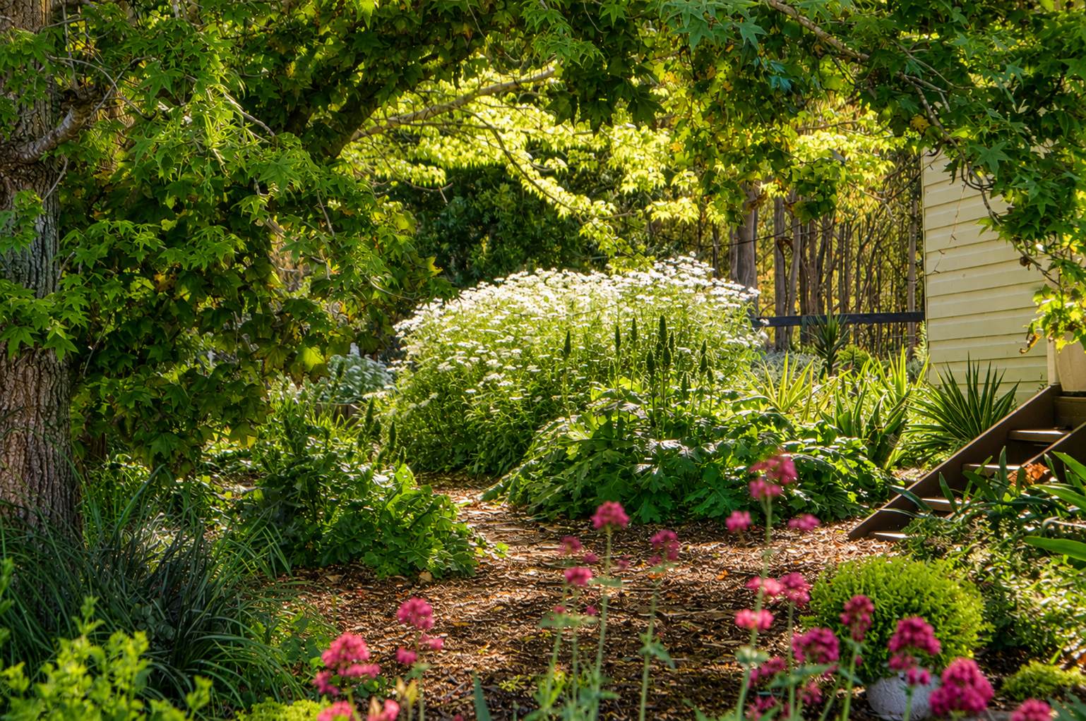 Layered garden planting and pathway designed by Soul Garden Studio