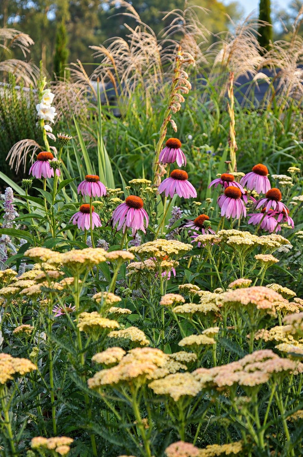 Naturalistic planting with pink flowers, soft grasses and layered foliage