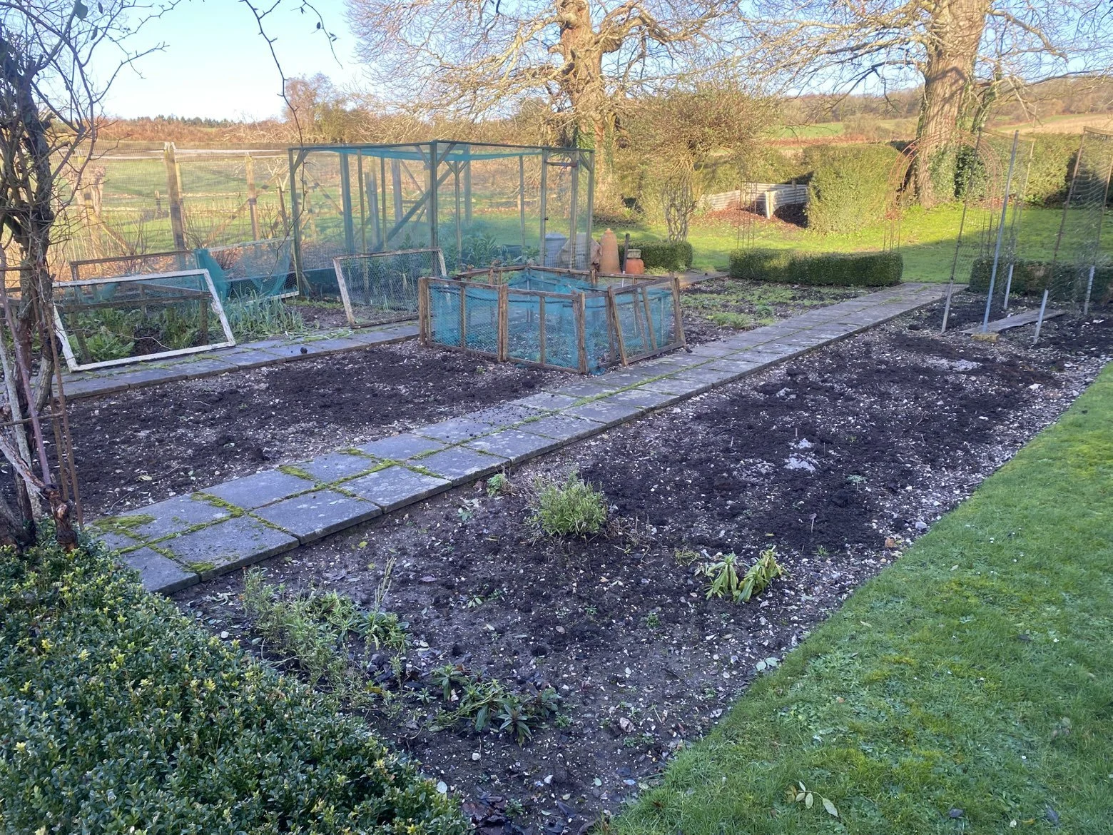 A garden with multiple beds of soil and seedlings, a stone pathway, leafless trees, and a green lawn in the background.